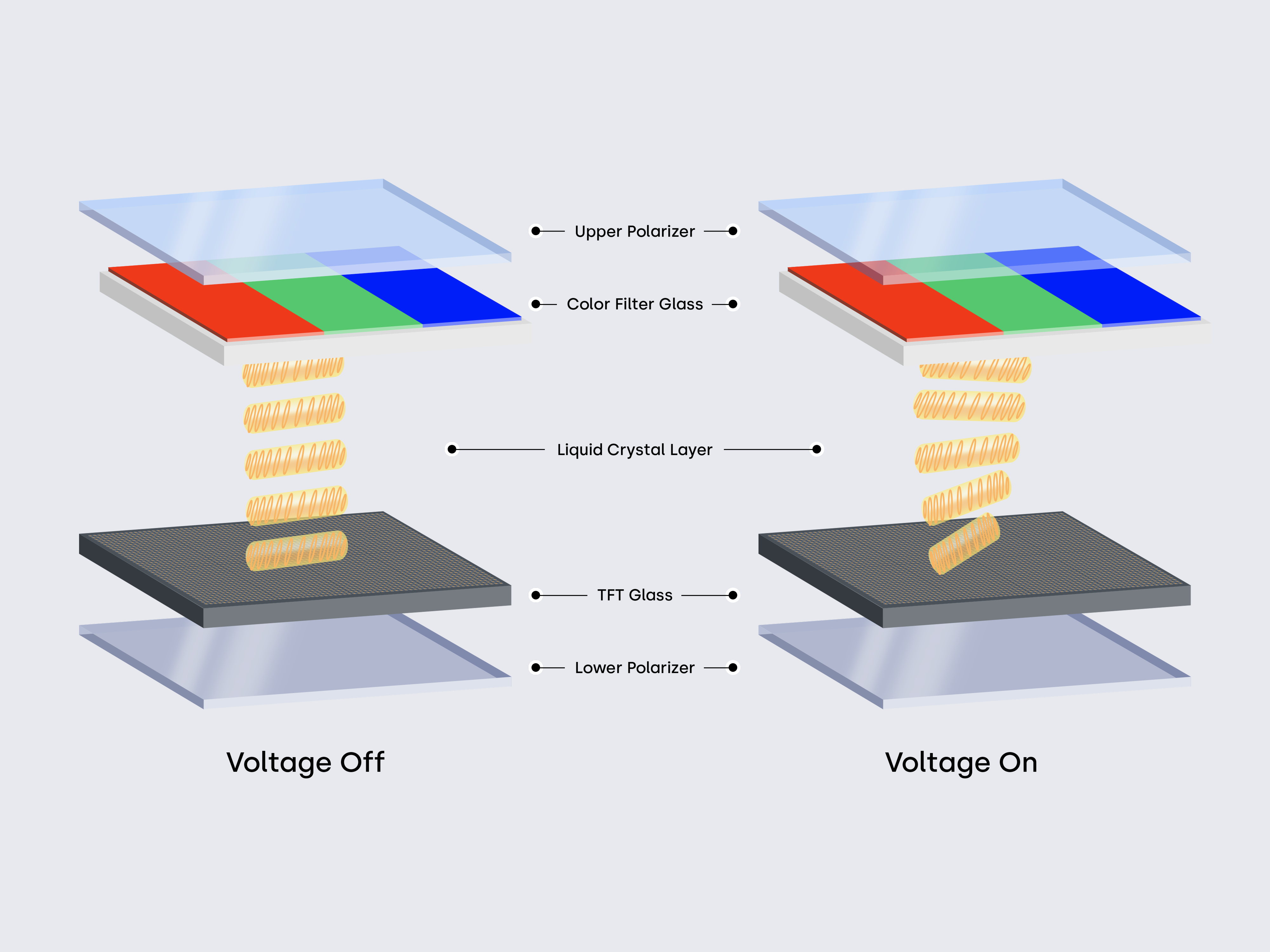 IPS liquid crystal alignment diagram with in-plane switching.